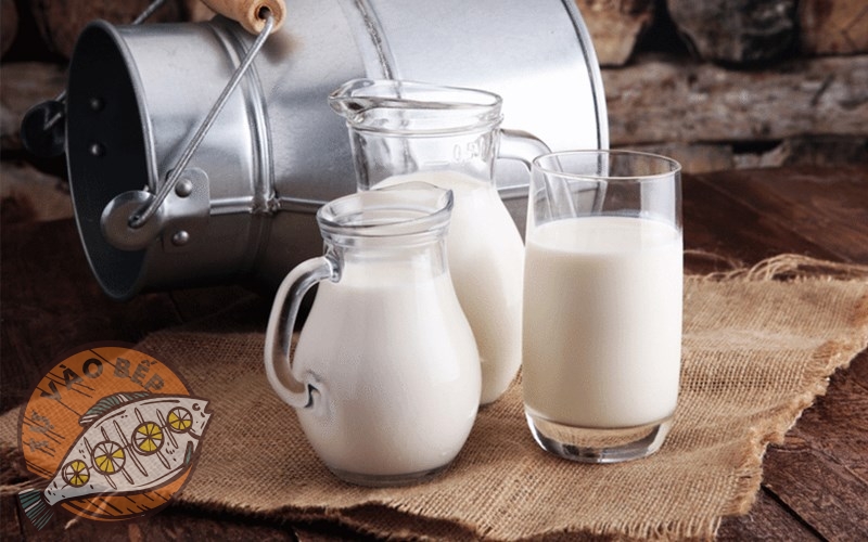 Sữa tươi mang lại nhiều lợi ích cho sức khỏe con người