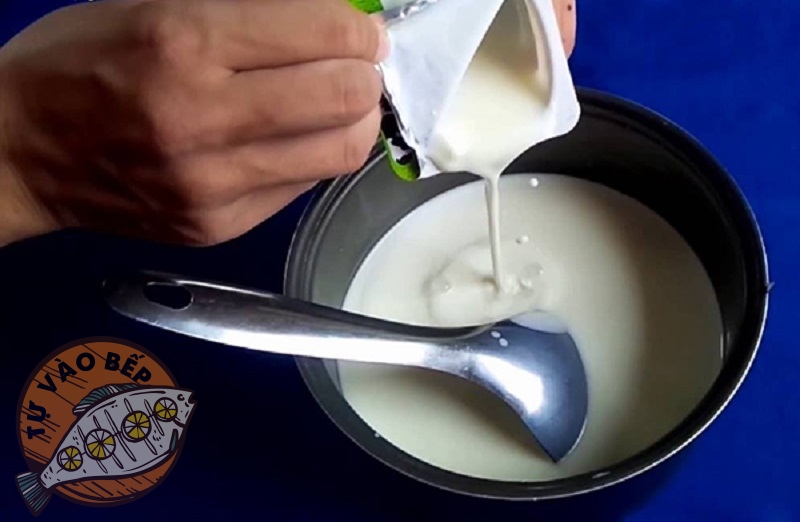 Đổ sữa chua cái (dẫn lên men) vào hỗn hợp sữa