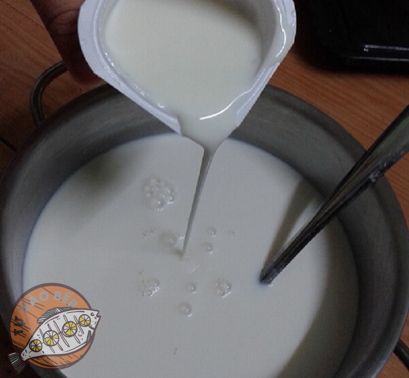 Cho sữa chua cái làm men dẫn vào hỗn hợp sữa để làm sữa chua
