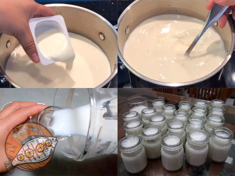 Cho sữa chua làm men cái vào hỗn hợp sữa khuấy đều theo hướng một chiều