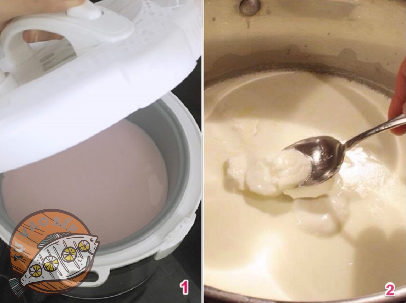 Ủ hỗn hợp sữa trong nồi điện 6-8 tiếng thu được sữa chua