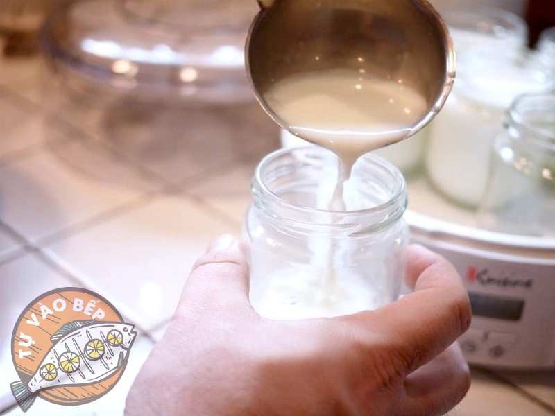 Hỗn hợp sữa để nguội cho vào hũ thủy tinh
