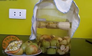 Cách làm giấm táo